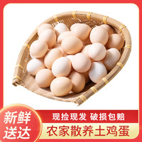 云依禾农庄 新鲜现捡土鸡蛋初生蛋谷物虫草柴鸡蛋 笨鸡蛋生鲜 10枚装