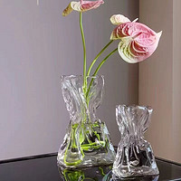 高级感ins风花瓶玻璃透明水养客厅插花花器桌面装饰摆件电视柜