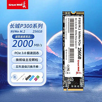 百亿补贴：Great Wall 长城 P300 M.2固态硬盘 PCIe 3.0 256GB