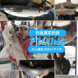 Crown Lure 冠路 魔法师 桥钓筏竿单竿远投岸抛海阀杆伐竿筏钓竿竿稍全套套装