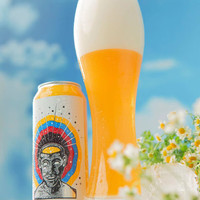 NICKEL BROOK 尼克尔布鲁克 精酿啤酒 473ml（买一赠一）