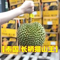 樱鲜泰国长柄猫山王新鲜长柄榴莲新鲜带壳整个水果巴掌榴莲 泰国长柄猫山王 单果3-4斤
