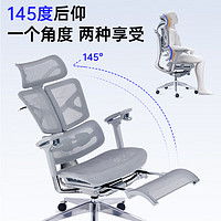 ERGOUP 有谱 HO 人体工学椅子椅子舒服久坐电脑椅家用办公座椅电竞椅 灰框灰网