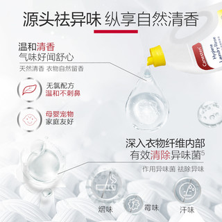 拜耳Canesten凯妮汀衣物消毒除菌液洗衣内衣裤杀菌婴儿2L*2瓶