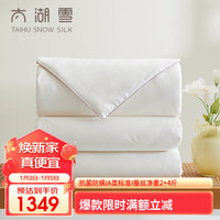 太湖雪丝柔抗菌A类蚕丝被 二合一子母被 100%蚕丝净重2+4斤 220*240cm 【抗菌A类】子母被净重2+4斤 1.8米床/220*240cm
