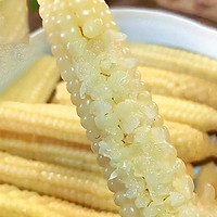 88VIP：云南西双版纳拇指小玉米甜糯低脂儿童早餐正宗特产懒人玉米小零食
