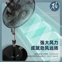 DIAMOND 电风扇落地扇家用大风力台立式遥控宿舍摇头工业轻音电扇BY