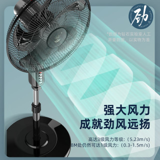 钻石牌 电风扇落地扇家用大风力台立式遥控宿舍摇头工业轻音电扇BY