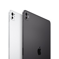 可享3期免息】Apple iPad Pro 11英寸 标准玻璃面板 2024官网新品 Apple M4芯片 平板电脑