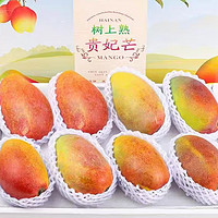莫小仙 广西 贵妃芒 新鲜热带水果 4.5斤装 (单果150g+)