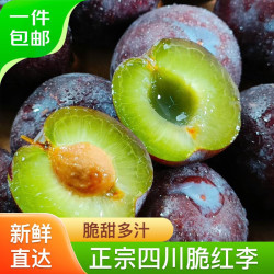 mrseafood京鲜生四川半边红脱骨李3斤装单果20g起生鲜水果源头直发
