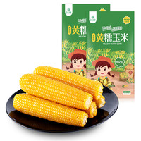 华田禾邦新鲜东北黄糯玉米400g真空糯玉米棒2支早餐甜黏玉米