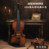 圣维斯(SEENWINS)SEENWINS圣维斯SW100手工实木小提琴初学者儿童考级入门成人初学