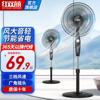 红双喜（RED DOUBLE HAPPINESS）电风扇落地扇家用风扇遥控定时电扇餐厅轻音立式摇头风扇办公室大风量DY 16英寸机械款
