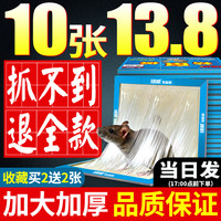 绿威 鼠板强力胶水粘大老鼠捉抓灭捕超加厚加大驱沾鼠神器家用一窝端