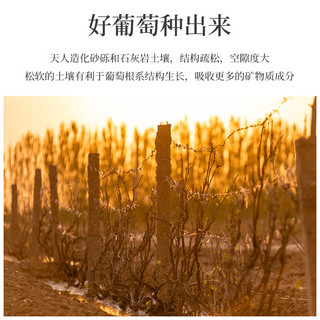 莫高（MOGAO）干白葡萄酒红酒 薏丝琳 750ml*6瓶整箱装