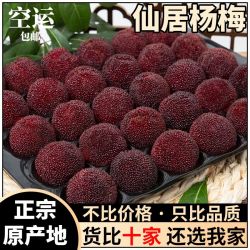 御香梅 正宗仙居东魁大杨梅新鲜水果2.1斤起空运冷链直达颗粒礼盒包装