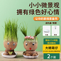 悠梵萌 创意DIY办公室迷你水培植物长草头娃娃绿植盆栽阳台卡通随机2个