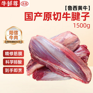 牛鲜尊 鲜尊 牛腱子国产原切谷饲鲁西黄牛 1.5kg 国家地标产品 阳信牛肉