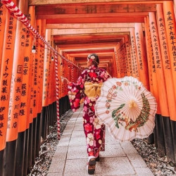 领馆指定送签社，官网可查，一手送签！日本单次/三年多次/五年多次签证代办！