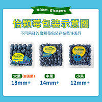 天猫超市 Driscoll's怡颗莓4盒装125g/盒云南蓝莓大果精选宝宝应季新鲜水果