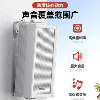 先科（SAST）音柱吸顶音响套装酒店商场超市公共广播系统吊顶家用客厅会议餐厅背景喇叭组合音箱 单音柱