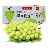 国家补贴:京鲜生 阳光玫瑰青提 净重1斤 单果8g+ 葡萄提子 &源头直发