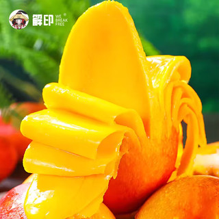福东海小台农贵妃芒芒果新鲜当季现摘热带水果小台芒应季【需催熟】 5斤 【单果：50-100g】贵妃i芒
