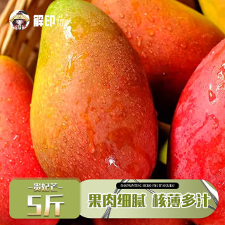 福东海小台农贵妃芒芒果新鲜当季现摘热带水果小台芒应季【需催熟】 5斤 【单果：50-100g】贵妃i芒