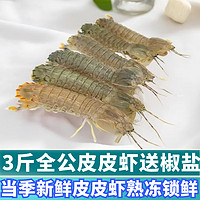 海头海州湾 鲜活熟冻虾爬子 3斤 全公皮皮虾
