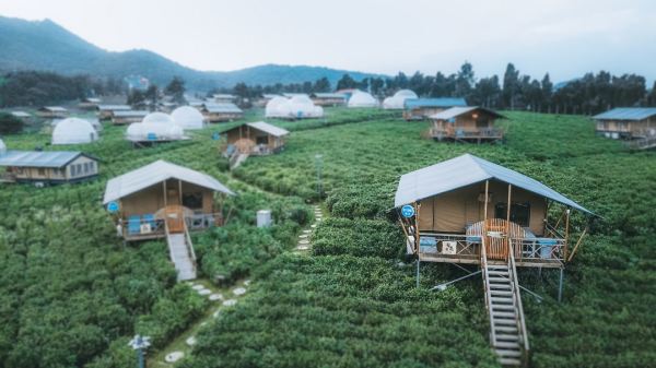 包邮区避暑消夏,送价值300元门票,可住2大2小!常州茅山森林世界度假村 茶田帐篷亲子家庭房1晚+双早+双人2日无限次景区门票