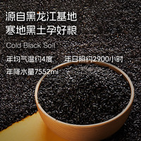 喜由米有机黑米2024新米 东北黑米粥 全谷物粗粮杂粮 寒地黑珍珠