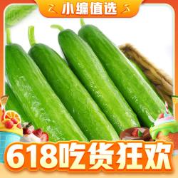 新鲜现摘水果小黄瓜 5斤