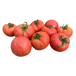 优特蔬山东大口感水果番茄4.5斤装沙瓤浓郁多汁新鲜采摘源头直发