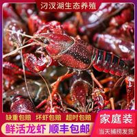 湖北汈汊湖特大清水虾青红壳现捞活物水产生鲜养殖超大小龙虾鲜活