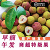 多多果园妃子笑荔枝现摘 5斤装茂名高州【老树大果】新鲜 妃子笑荔枝 4.5斤