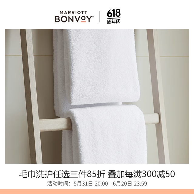 EDITION 艾迪逊 迪逊（EDITION）五星级酒店毛巾系列纯棉亲肤吸水白色浴巾洗脸面巾手巾地巾组合 面巾*2