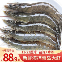 卖鱼郎先生 虾 青岛大虾海捕青虾鲜虾海虾基围虾类鲜活冷冻海鲜白虾端午 青岛水冻大虾4斤【净虾3-3.4斤】 14-16厘米【人工挑选】
