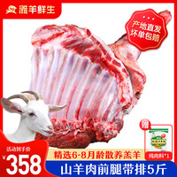 滩羊鲜生 宁夏滩羊肉 生鲜纯手工羊肉串家庭空气炸锅烤串户外烤肉烧烤食材 【山羊肉】5斤前腿带排