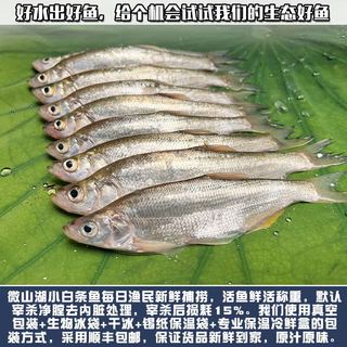云映渔舟 微山湖生态野捕小白条鱼(净膛) 活鱼现杀翘嘴鱼刁子新鲜河鱼 （杀完损耗15％）