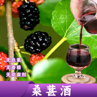 新客家原乡 6元6瓶】青梅酒/桑葚酒/杨梅酒自酿米酒浸泡果酒女士低度甜果酒