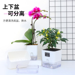 西子花语 盆家用多肉专用正方形懒人水培花盆自吸水绿萝兰盆塑料树脂花盆