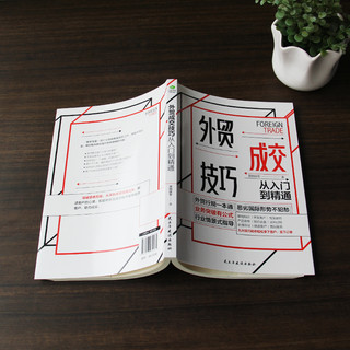 外贸成交技巧从入门到精通（外贸高手书籍）
