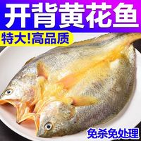 北海湾调味黄鱼鲞国产新鲜冷冻宁德开背大黄鱼200g/条海鲜活海鱼