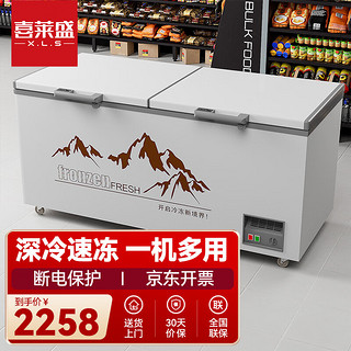 喜莱盛 商用大容量冰柜冷柜保鲜柜冷藏冷冻雪糕卧式家用冰箱超市BD-T698