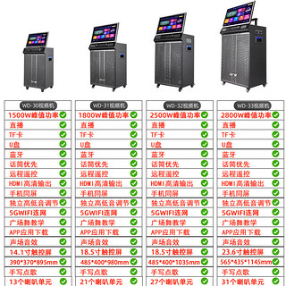 先科（SAST）WD-31户外舞台ktv音响套装点歌机一体机家用卡拉ok户外k歌唱歌全套设备广场舞音响带显示屏