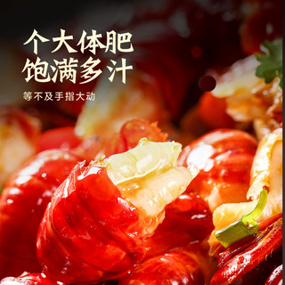  今锦上 活虾烧制 麻辣小龙虾  包装