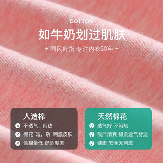 A&B内衣秋冬保暖棉质亲肤女士棉毛裤彩条薄款基础打底保暖单件裤子 桔红 XXL