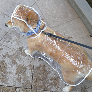 波奇多 狗狗雨披【26-35斤内】宠物衣服狗狗雨衣遛狗透明雨披防水狗雨衣