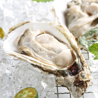 木屋烧烤食材新鲜生蚝大A蚝牡蛎海鲜湛江水产生蚝5个户外露营